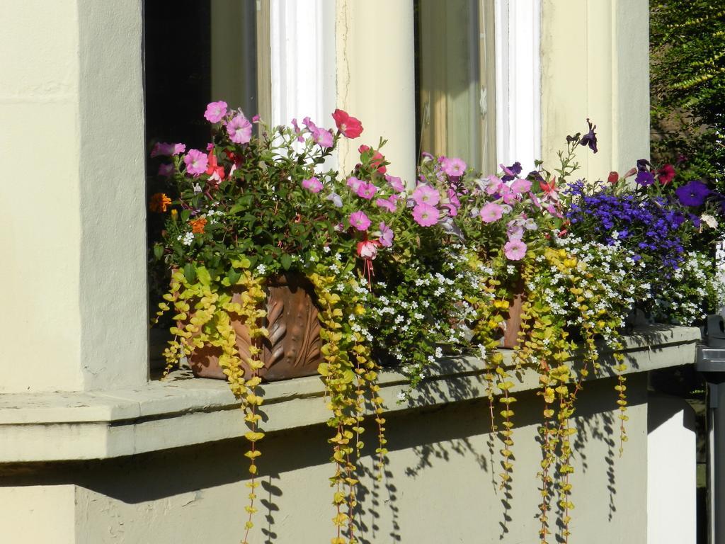 Balmoral Guesthouse - Edinburgh — Photos 3